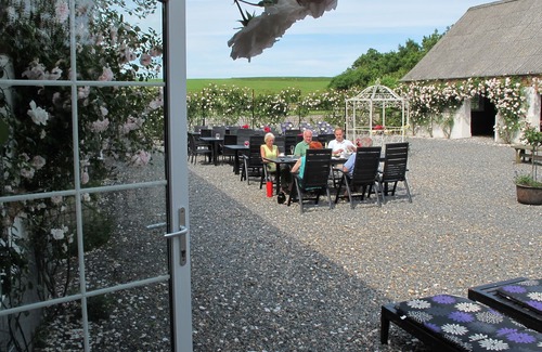 Spøttrup House | Manor house in a beautiful surrounding. Swimming pool. 41,000 m2 lovely park.