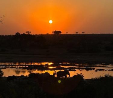 Buffelspruit Villa | MANZINI RIVER HOUSE - Mjejane Private Game Reserve, Greater Kruger National Park