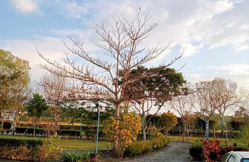 Guangfu House | Maple Feeling Vacation Farm