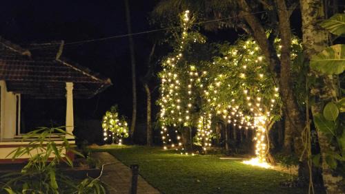 Mararikkulam North House | Marari Arattukulam Haven