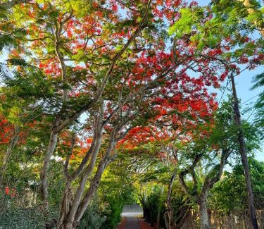 Grand-Baie Apartment | Marie by the Sea