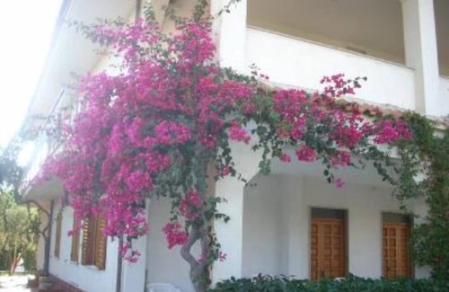 Marina di Ascea Villa | Marina di Ascea: Apartment in Villa dei Limoni – Marina di Ascea