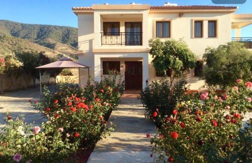 Pomos Apartment | Maritsa's Roses Apartments