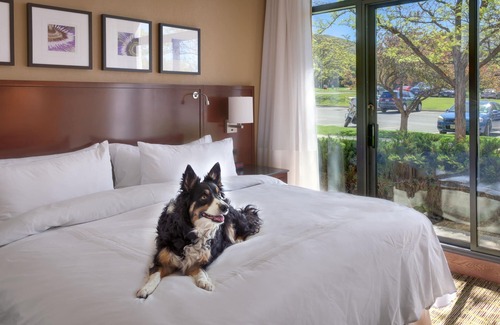 Downtown Salt Lake City Hotel | Marriott University Park