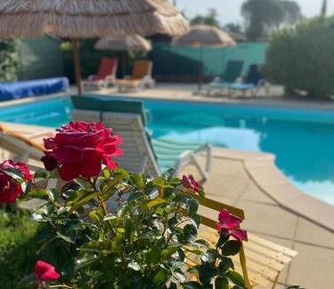 Gareoult Bed & Breakfast | Mas de la Cigaline Gîte & chambres d'hôtes Var