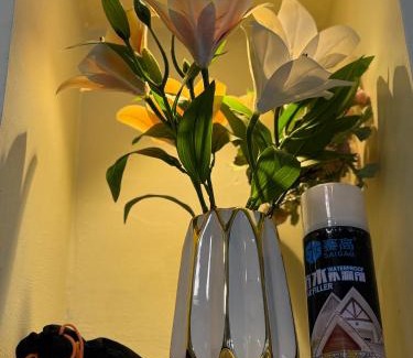 Dar es Salaam Apartment | MASAI Apartment Goba