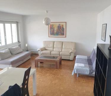 Massagno Apartment | Massagno Lake