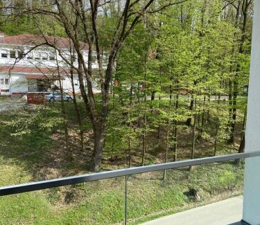 Vrnjacka Banja Apartment | Maya apartman sa dve spavace sobe