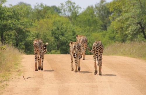Buffelspruit Villa | Maya Lodge