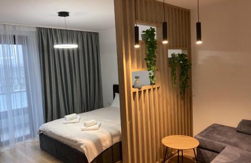 Cluj County Apartment | MEB Apartments - Park Lake