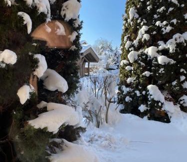 Demi-Quartier Ski Chalet | Megève - Chalet Miage