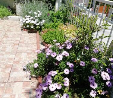Thermi Apartment | Meli's House by ALP Hospitality Services