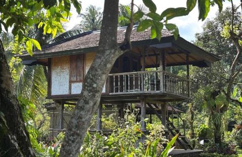 Sukasada House | Mesari Cottage Guest House