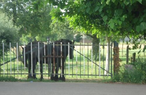 Eijsden Apartment | Meschermolen 3
