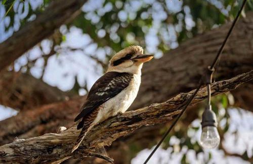 Metung House | Metung Hideaway by Tiny Away