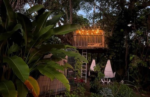 El Portal House | Miami Pool Cottage Su