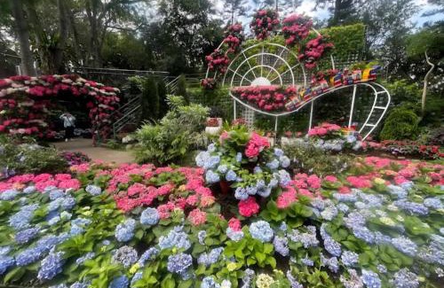 Sanyi House | Miaoli Sanyi Bo Wu Guan Homestay