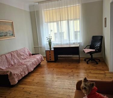 Centrs Apartment | Miera street