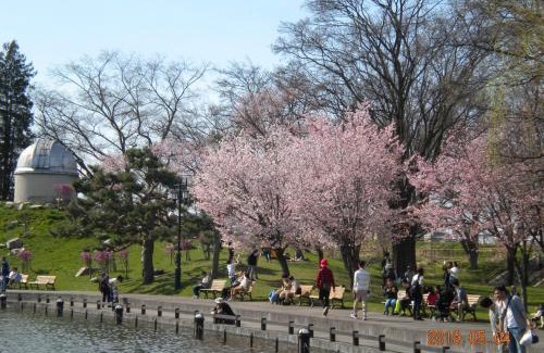 Asahikawa Hotel | Mimatsuso Ryokan