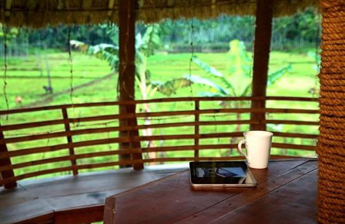 Mananthavady Bed & Breakfast | Minash Villa By Mirth, Wayanad, Kerala