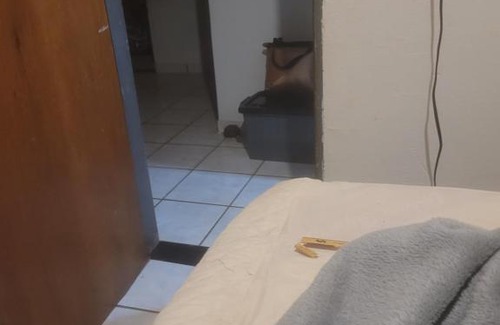 Jardim Europa House | Mineirohouse