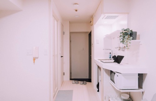 Minami Apartment | Minimalist Loft 203