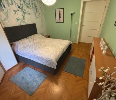 Vracar Apartment | Mintis