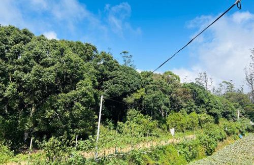 Nuwara Eliya House | Mist haven villa Only for the Local Guests