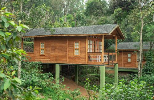 Kuttikkanam Hotel | Misty Mountain Experience