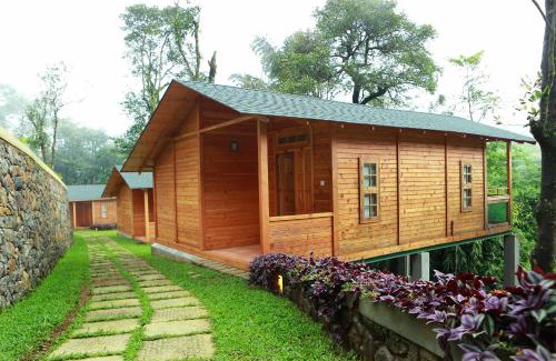 Kuttikkanam Hotel | Misty Mountain Experience