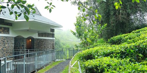 Kuttikkanam Hotel | Misty Mountain Experience