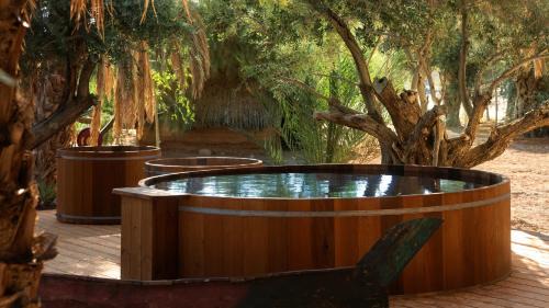 HaArava HaTikhona Hotel | Moa Living