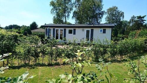 Baarle-Nassau Apartment | Mobilheim für 4 Personen ca 35 qm in Baarle-Nassau, Nordbrabant - b58367