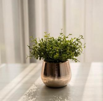 Huay Kaew Apartment | Modern Condo in Nimman P608 by Pimolplace