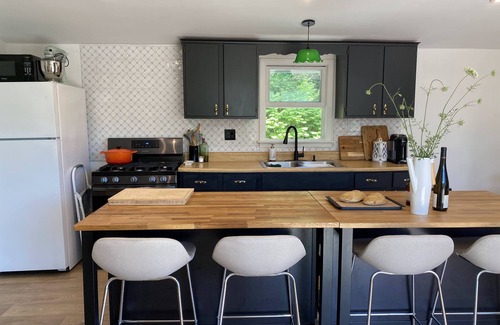 Denver Cottage | Modern Cottage with Private Pond, Spa and Views