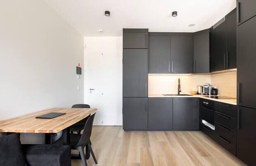 Gasperich Apartment | Modern Studio PwC Deloitte in Cloche dOr