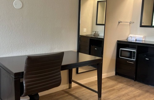 Broadmoor Apartment | Modern Studio with King Bed and Queen Sofa Sleeper In Central Baton Rouge