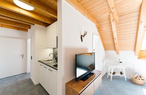 Simonswald Apartment | Moderne 2 Zi.FeWo BlackForest Art Nähe Freiburg