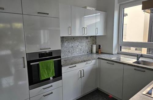 Mainz-Bingen House | Moderne Doppelhaushälfte in Oppenheim