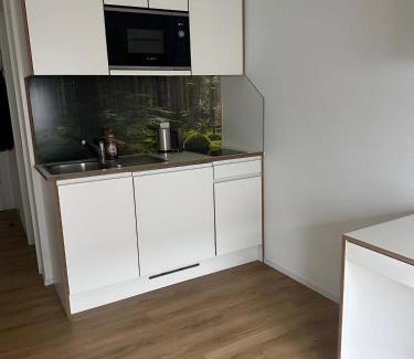 Rosental Apartment | Modernes 1 Zimmer Apartment