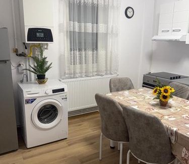 Hunedoara Apartment | Modernul apartament de lângă Castel