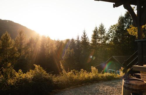 Baligrod Ski Chalet | Modre Bystre