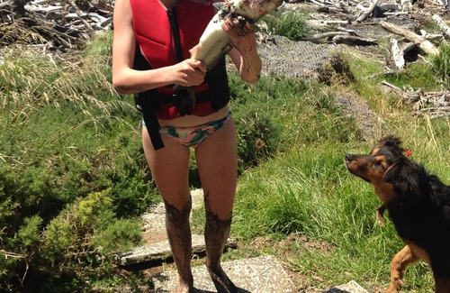 Mokau House | Mokau Tide Times Await