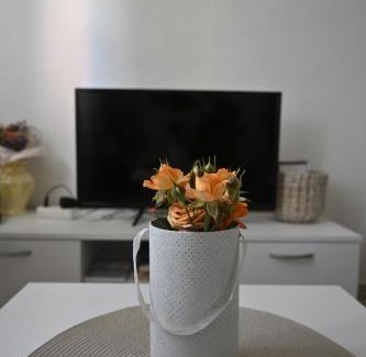 Knjazevac Apartment | Mokino bunarče