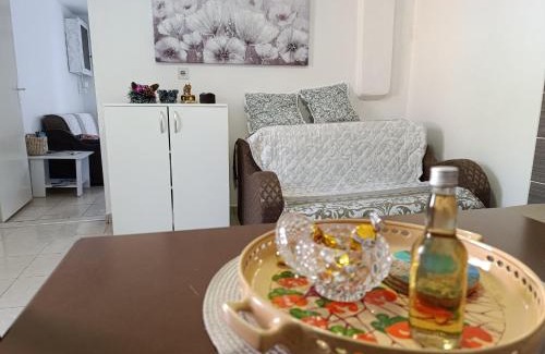 Knjazevac Apartment | Mokino bunarče