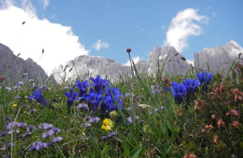 Muehlbach Am Hochkoenig Apartment | Molteraugut