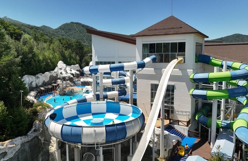 Daegwallyeong Apartment | Mona Yongpyong Greenpia Condominium