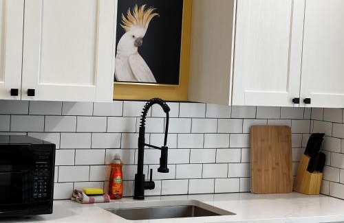Downtown Apartment | Monkey Jungle, Vibrant 2-BDRM at Ports on Portland, Rooftop Access, Apt #6