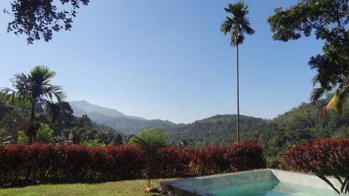 Rattota Cabin | Monkey manor villa, Strathisla Tea Estate Bungalow