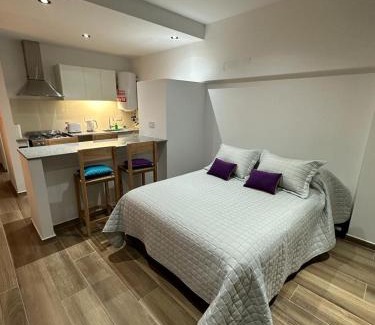 La Plata Apartment | Monoambiente a estrenar 50 y 28